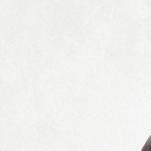 album-header-notext